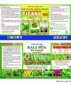 In Nhãn Giấy tại TP HCM